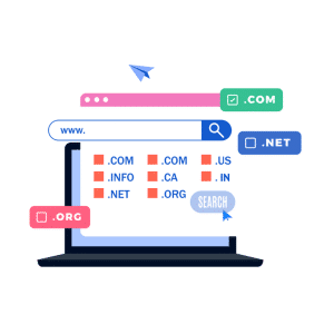 Domain Name Registration